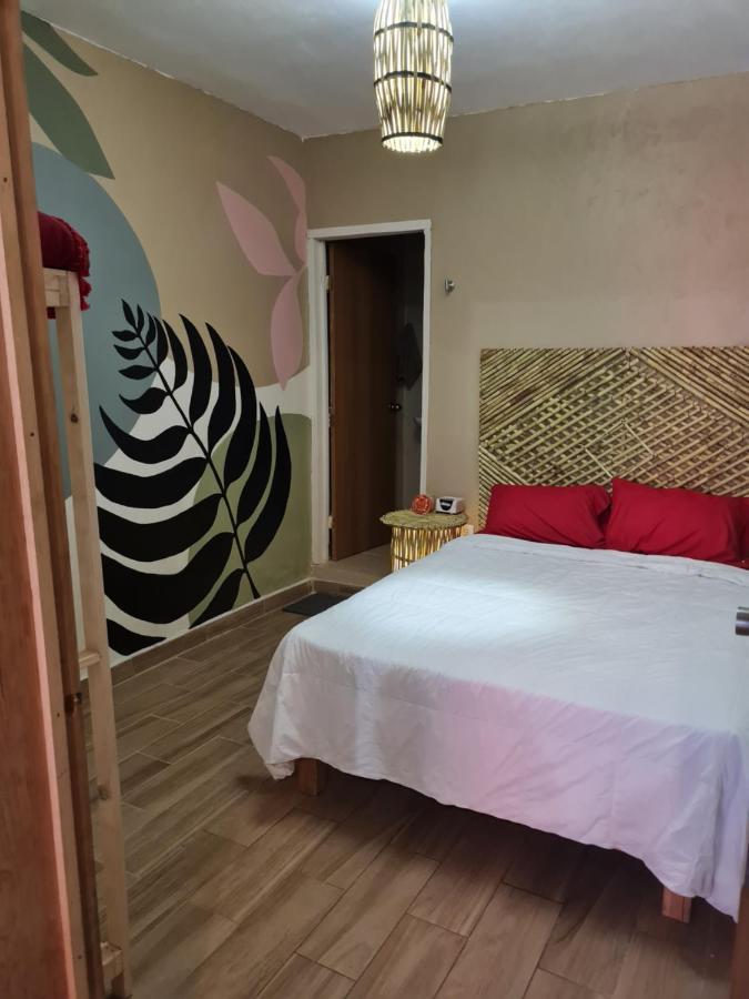 Casa Colibries Apartman Oaxaca Kültér fotó