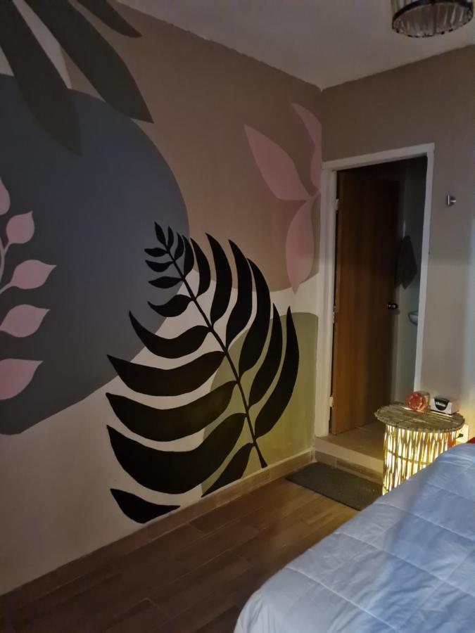 Casa Colibries Apartman Oaxaca Kültér fotó